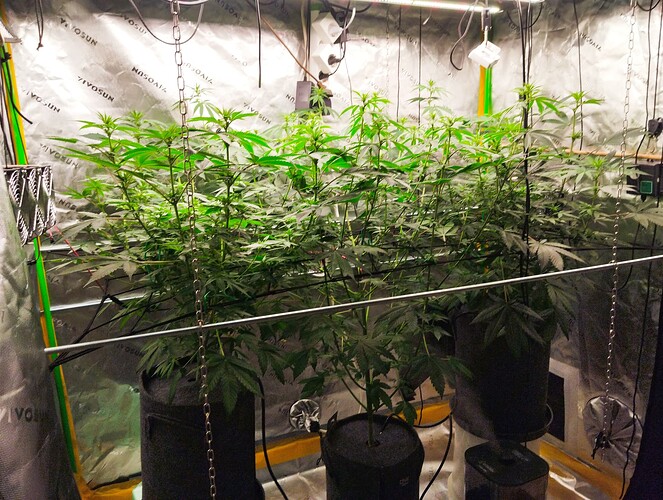 Growreport Bild 19