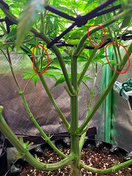 WhatsApp Bild 2024-12-10 um 16.18.18_e2606471