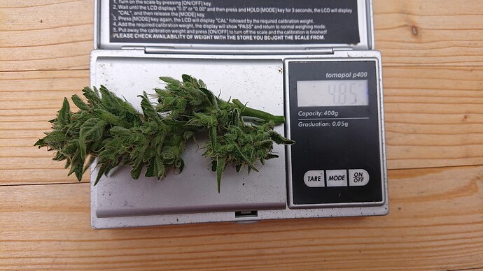 Growreport Bild 85