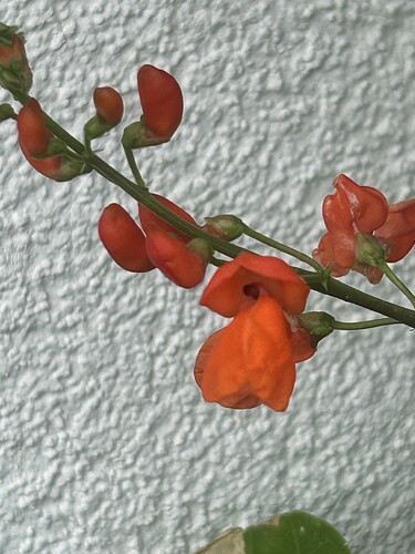 Growreport Bild 7