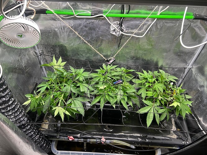 Growreport Bild 27