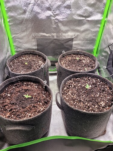 Growreport Bild 6