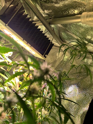Growreport Bild 7