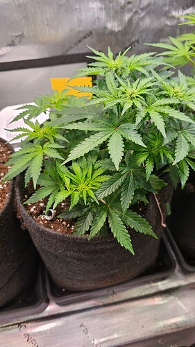 Growreport Bild 22
