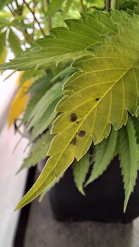 Growreport Bild 11