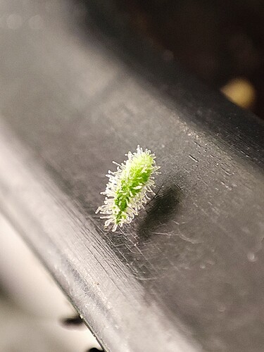 Growreport Bild 9