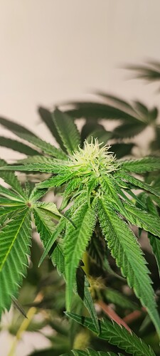 Growreport Bild 15