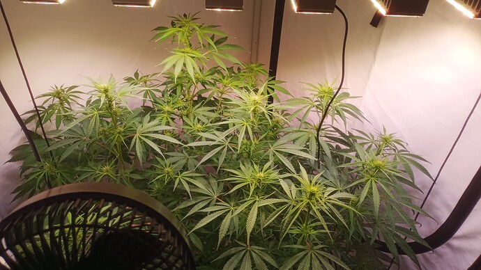 Growreport Bild 10
