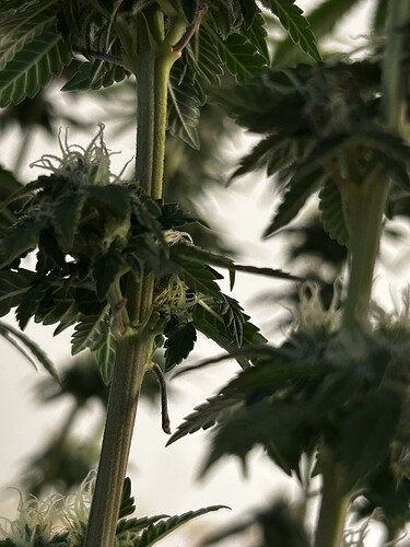 Growreport Bild 5