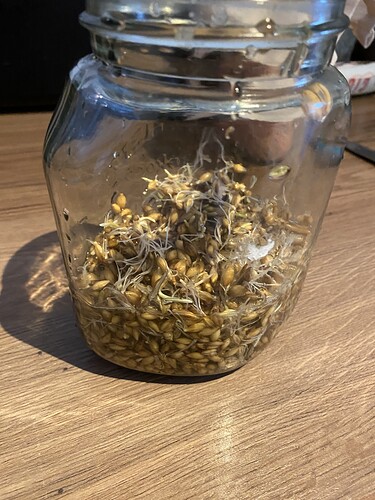 Growreport Bild 2