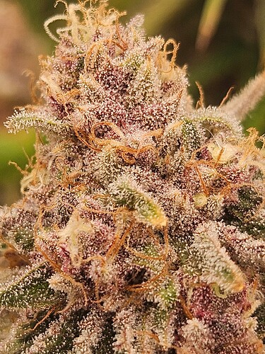 Growreport Bild 18