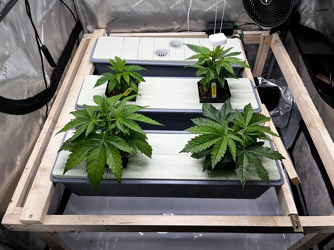 Überischt_vorne_VT11