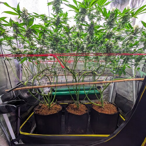 Growreport Bild 9
