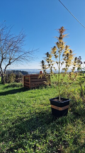 Growreport Bild 2