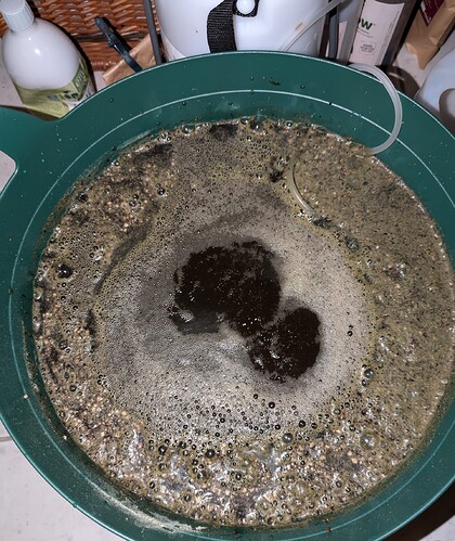 Growreport Bild 27