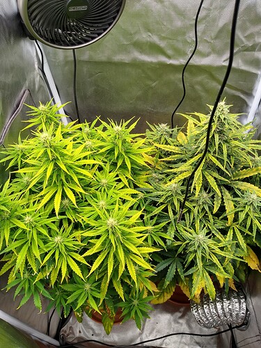 IMG_20240530_111140633_HDR