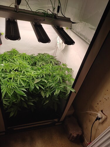 Growreport Bild 11