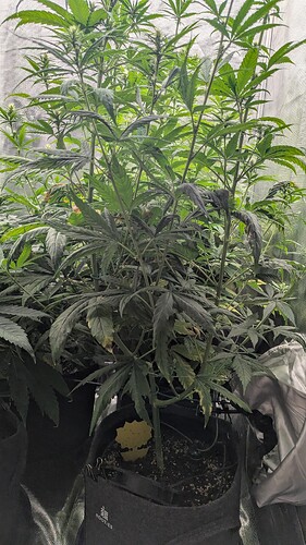 Growreport Bild 10