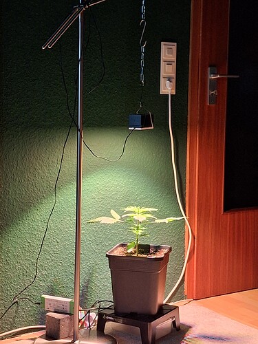 Growreport Bild 14