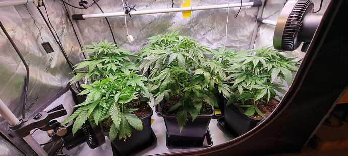 WhatsApp Image 2025-12-16 at 12.54.00 (3)