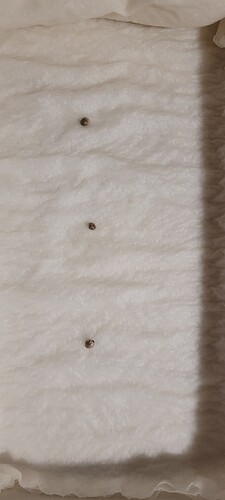 20251114_171629