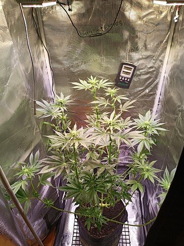 Growreport Bild 4