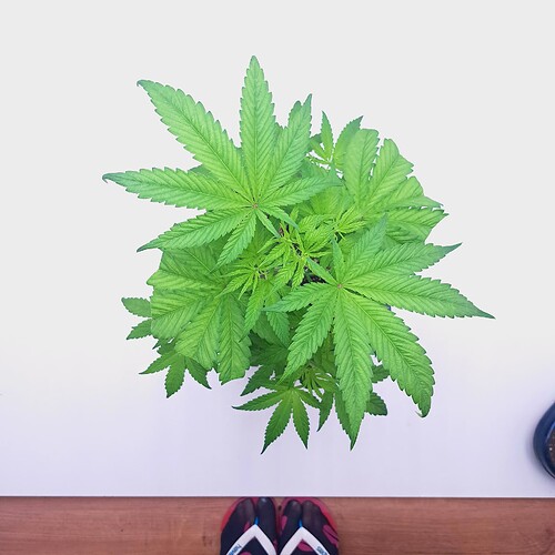 Growreport Bild 12