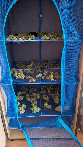 Growreport Bild 10