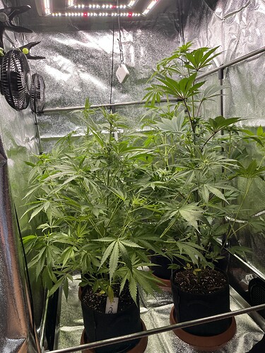 Growreport Bild 4