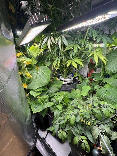 Growreport Bild 9