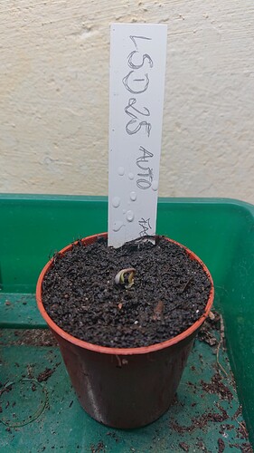Growreport Bild 13