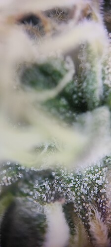 Growreport Bild 20