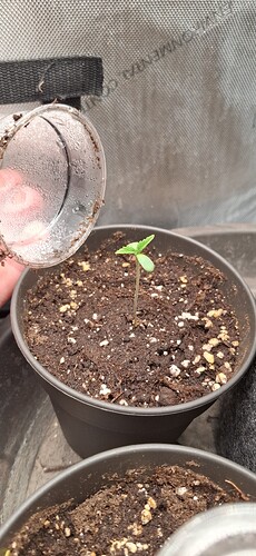 Growreport Bild 6