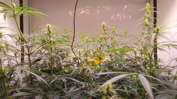 Growreport Bild 11