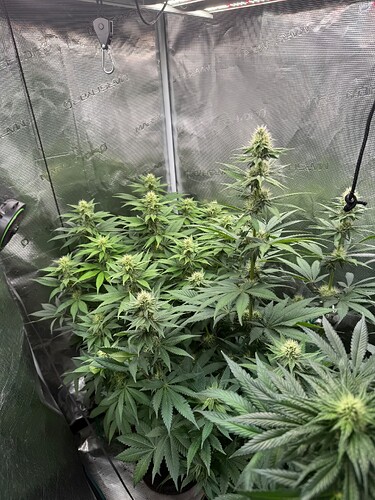 Growreport Bild 14