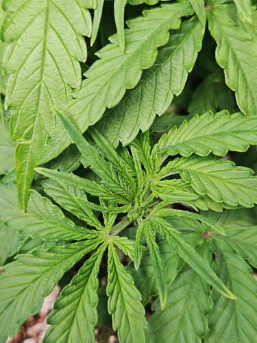 MVIMG_20251009_175538