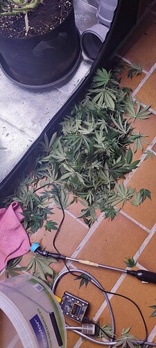 Growreport Bild 4