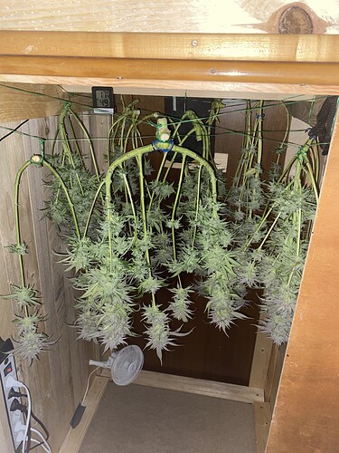 Growreport Bild 25