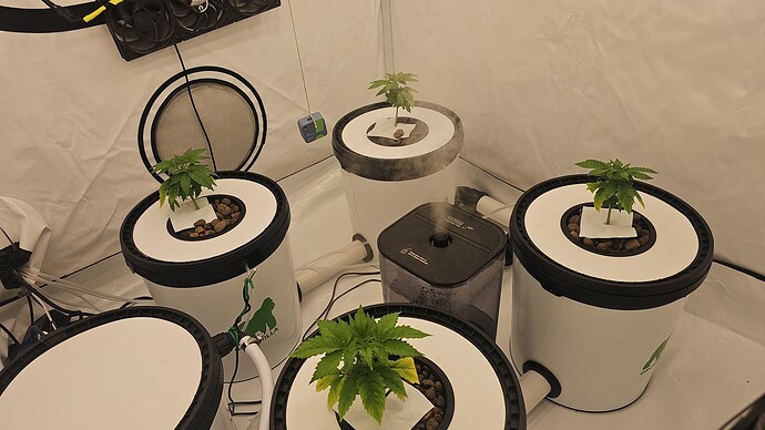 Growreport Bild 17