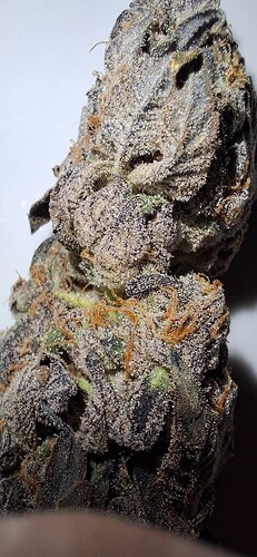 Growreport Bild 25