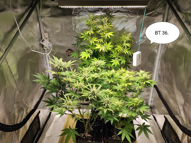 Growreport Bild 9