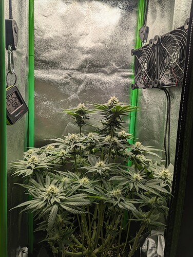 Growreport Bild 3