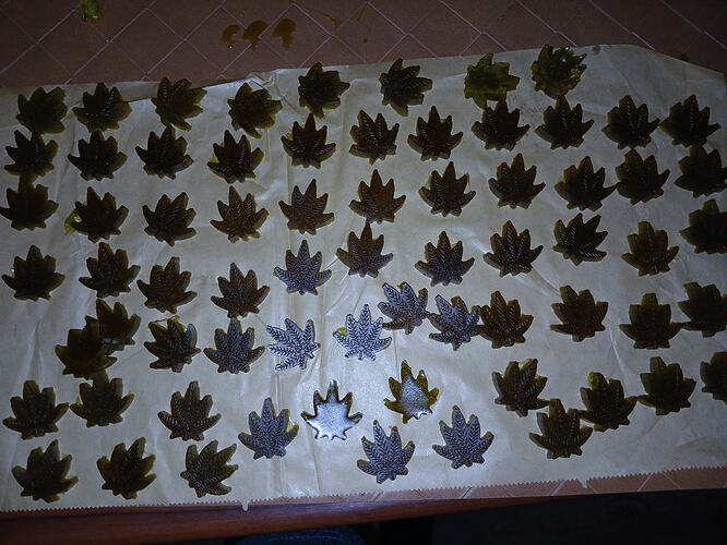 1000058110