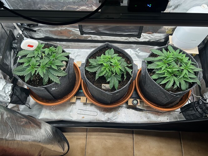 Growreport Bild 10