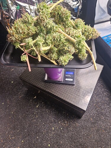 Growreport Bild 15