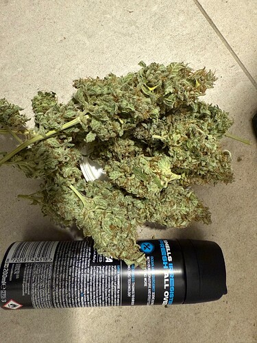 Growreport Bild 13