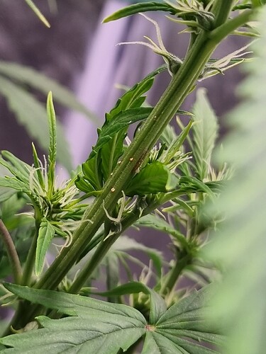 Growreport Bild 1