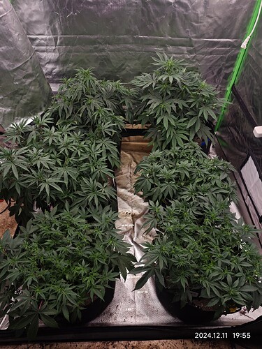 Growreport Bild 9