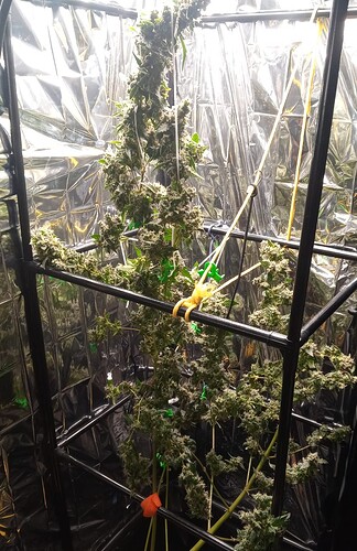 Growreport Bild 2