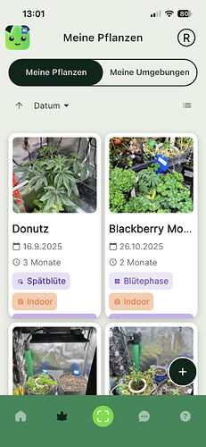 Growreport Bild 2